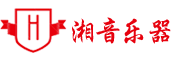 湖南湘音乐器有限公司