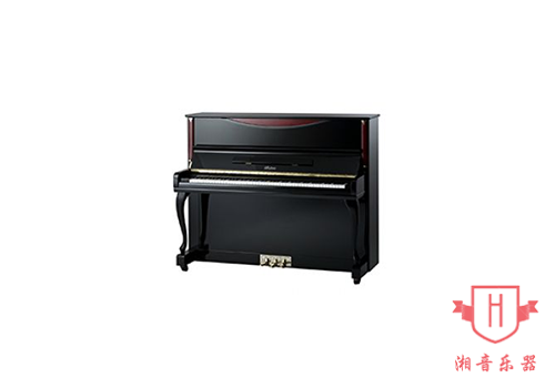 YOUNG CHANG-W121C5-BP