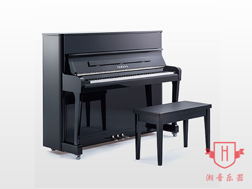 YAMAHA-RADIUS121EX