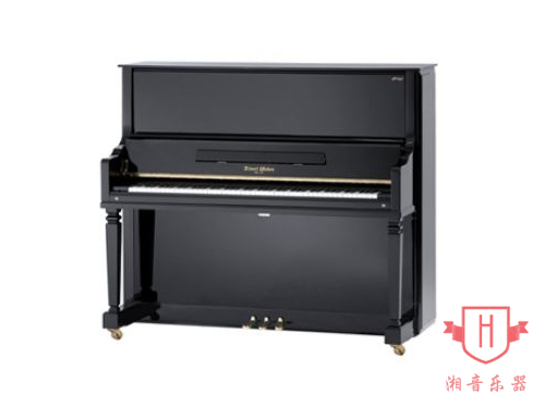 YOUNG-CHANG-AW131T2-BP