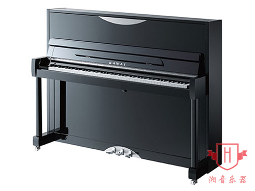 KAWAI-P123